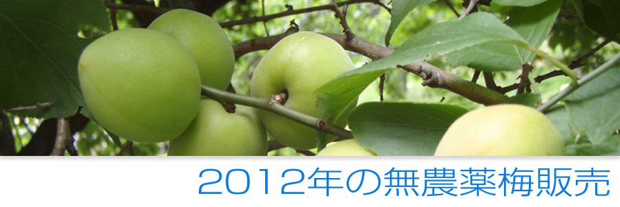 梅園